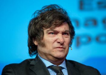 Milei insiste con su plan económico